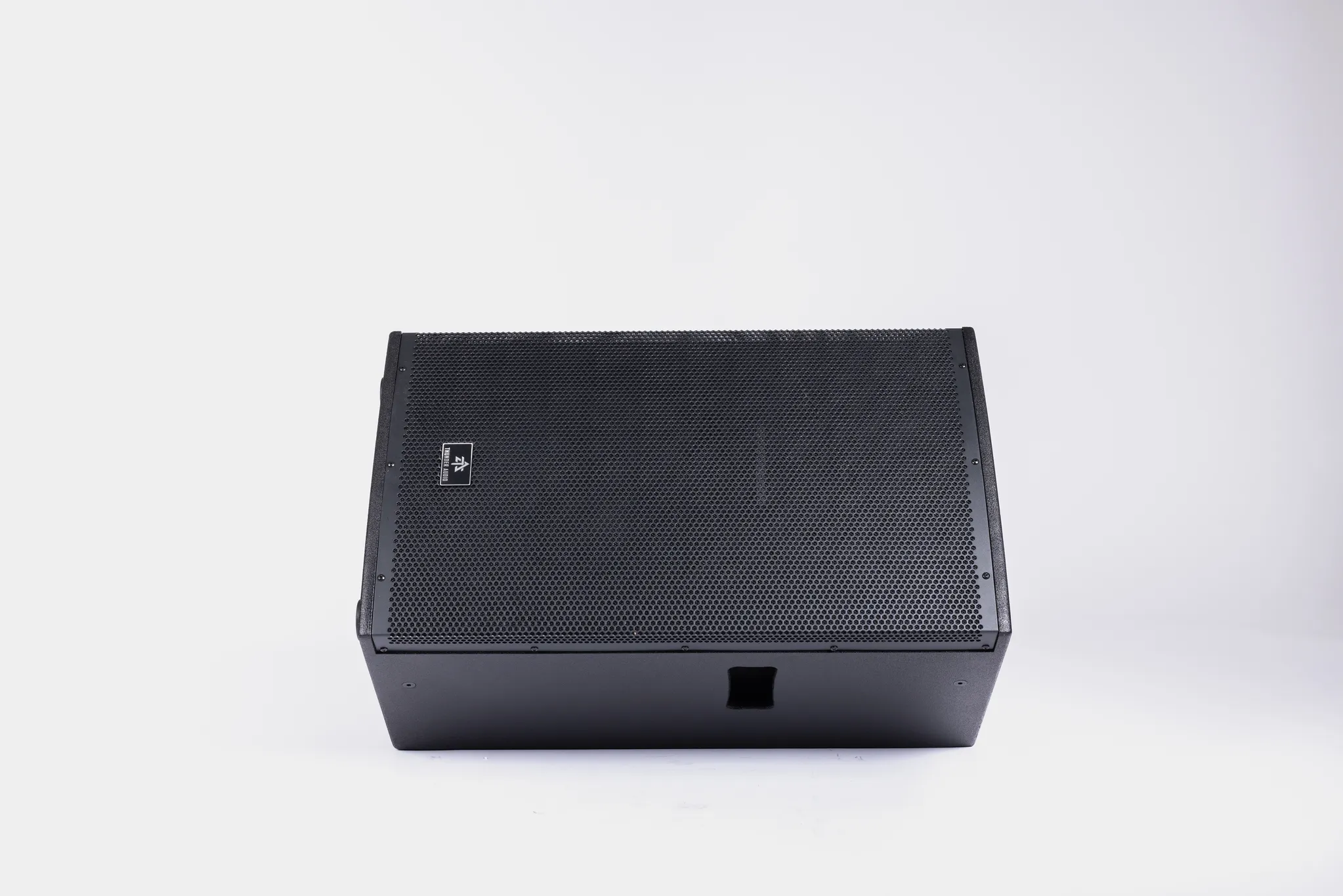 ThunderAudio W115A Rear Panel Controls