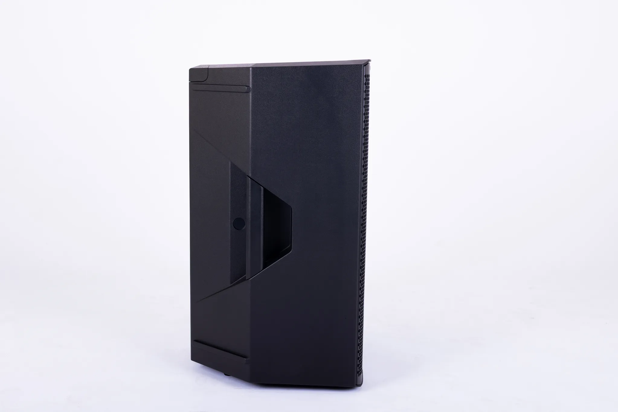 ThunderAudio X115B Rear Panel Controls